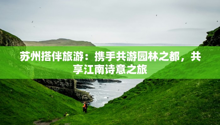 苏州搭伴旅游：携手共游园林之都，共享江南诗意之旅