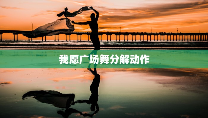 广场舞欢乐就在今宵