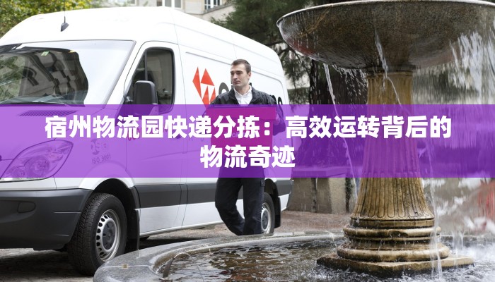 宿州物流园快递分拣：高效运转背后的物流奇迹