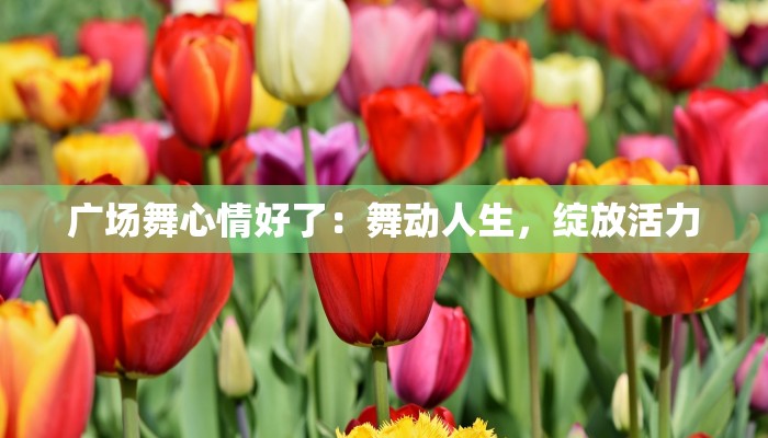 广场舞心情好了:舞动人生,绽放活力 广场舞心情好了:舞动人生,绽放活力