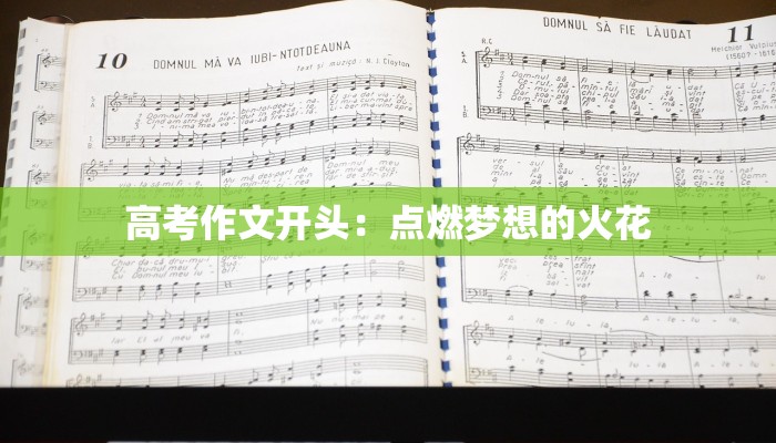 高考作文开头：点燃梦想的火花