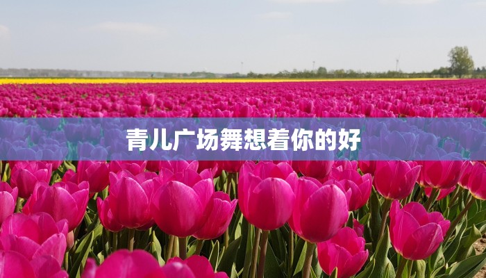 青儿广场舞想着你的好