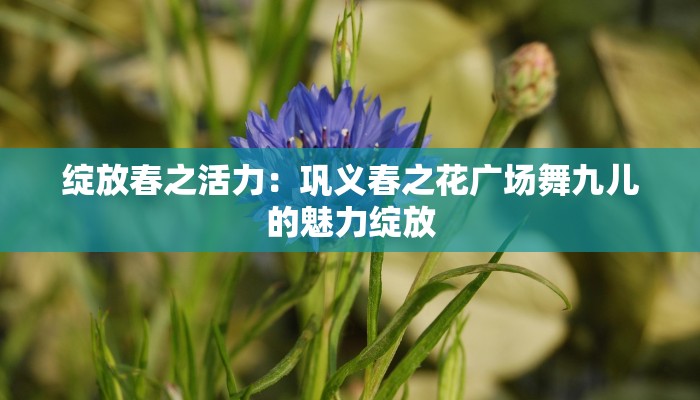 绽放春之活力：巩义春之花广场舞九儿的魅力绽放